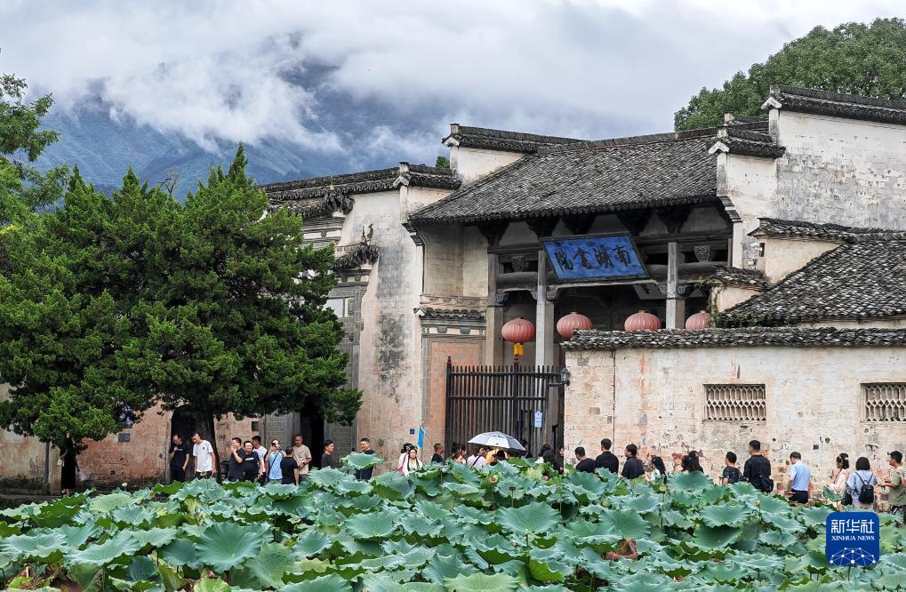 怎么网上打牌